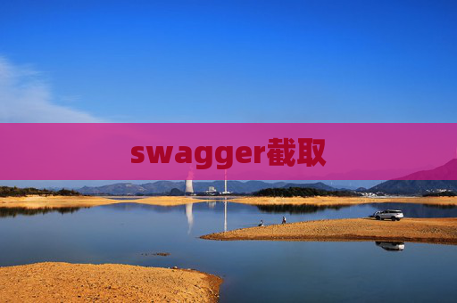 swagger截取